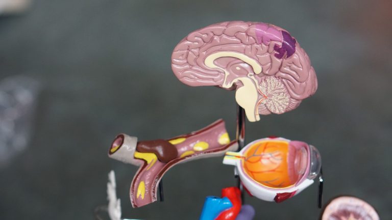 Read: Impact of Non-Binding FDA Guidances On Primary Endpoint Selection in Alzheimer’s Disease Trials