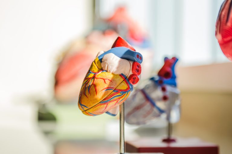 Read: Addressing Unmeasured Confounding Bias With a Prior Knowledge Guided Approach: Coronary Artery Bypass Grafting (CABG) Versus Percutaneous Coronary Intervention (PCI) in Patients With Stable Ischemic Heart Disease