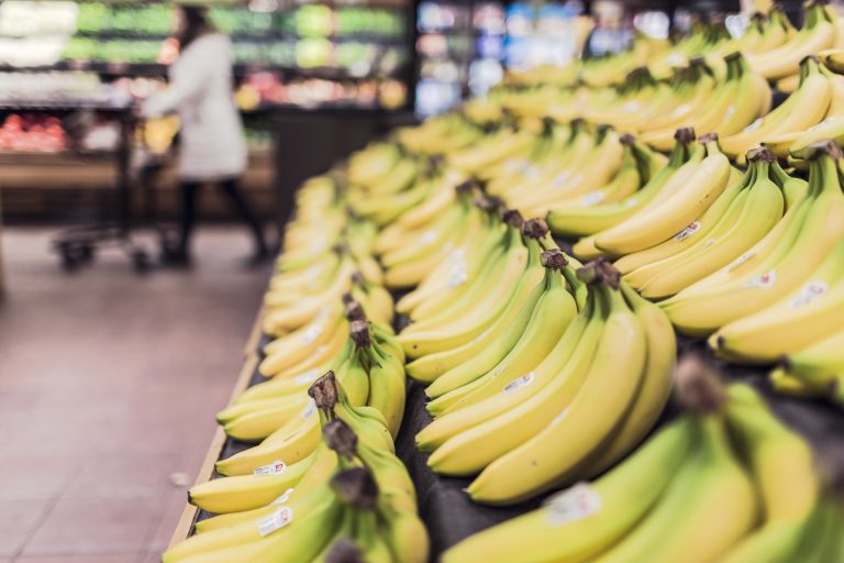 Read: What Types of Food Aid Programs do Americans Prefer, and Why?