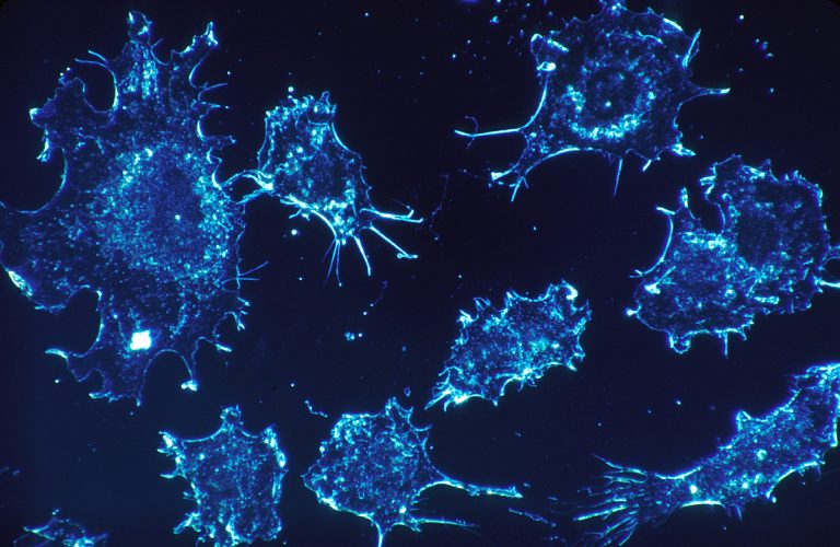 Read: Book Review: Immunotherapy’s Promise