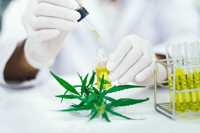 Read: The FDA is the Right Agency to Regulate CBD Products, but It Needs Help