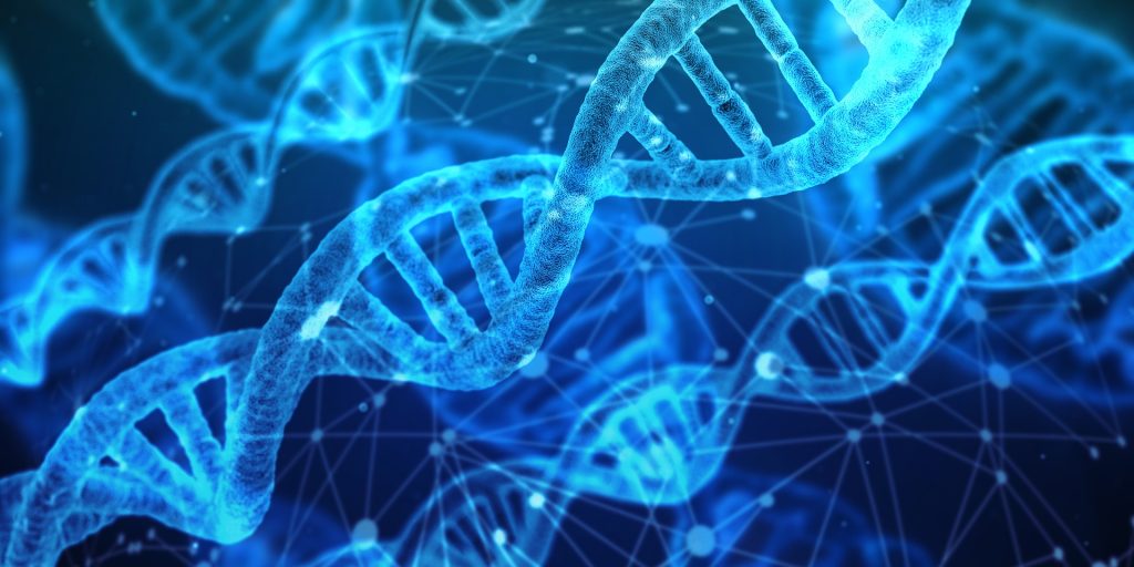 Read: Education Can Reduce Genetic Association with Obesity