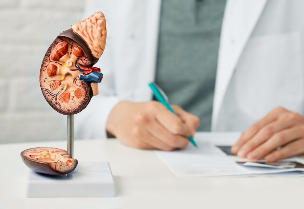 Read: Impact of the COVID-19 Pandemic on the Kidney Community: Lessons Learned and Future Directions