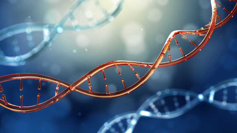 Read: Delayed Aging is Better Investment than Cancer, Heart Disease Research
