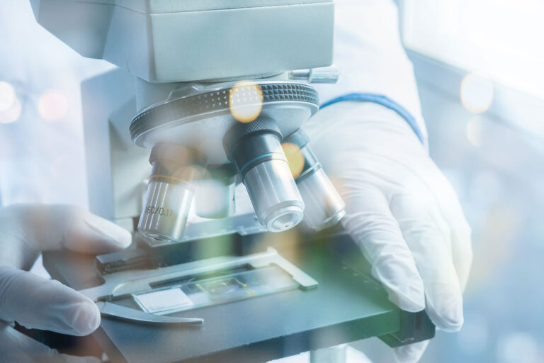Read: Productivity Differences in Fundamental Life-Sciences Discovery