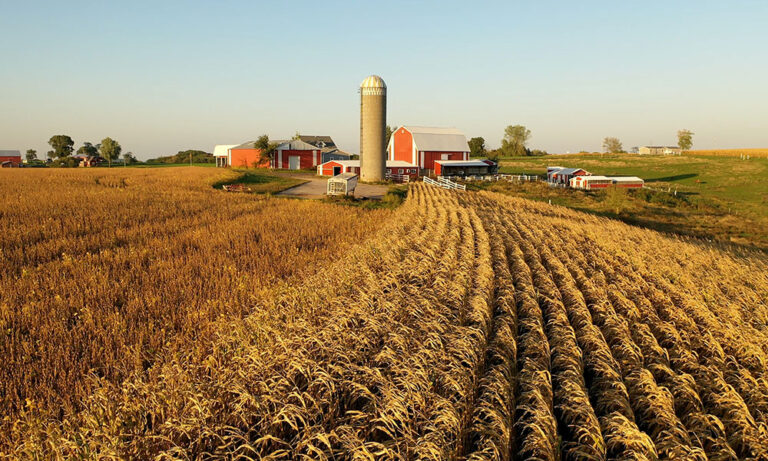 Read: Rural Americans Don’t Live as Long as Those in Cities