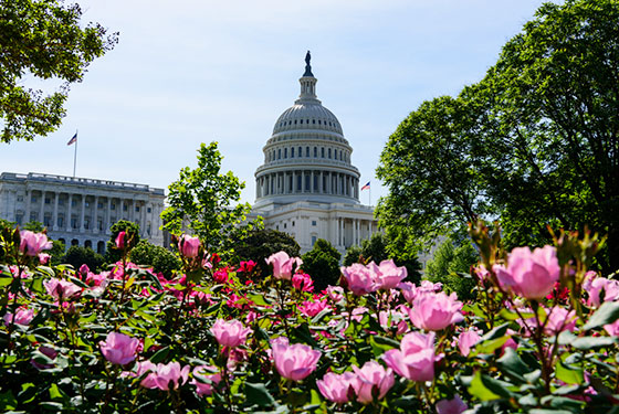 Read more about Schaeffer Fellows in Government Service