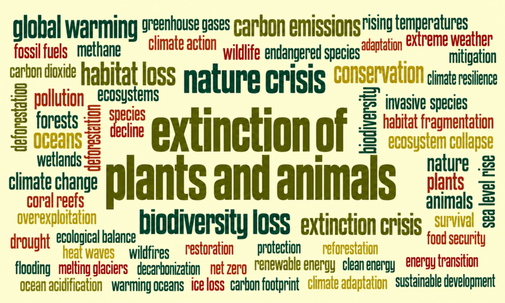 Read: Word Choice Matters: Calling the Extinction of Plants and Animals an ‘Extinction Crisis’ Doesn’t Help